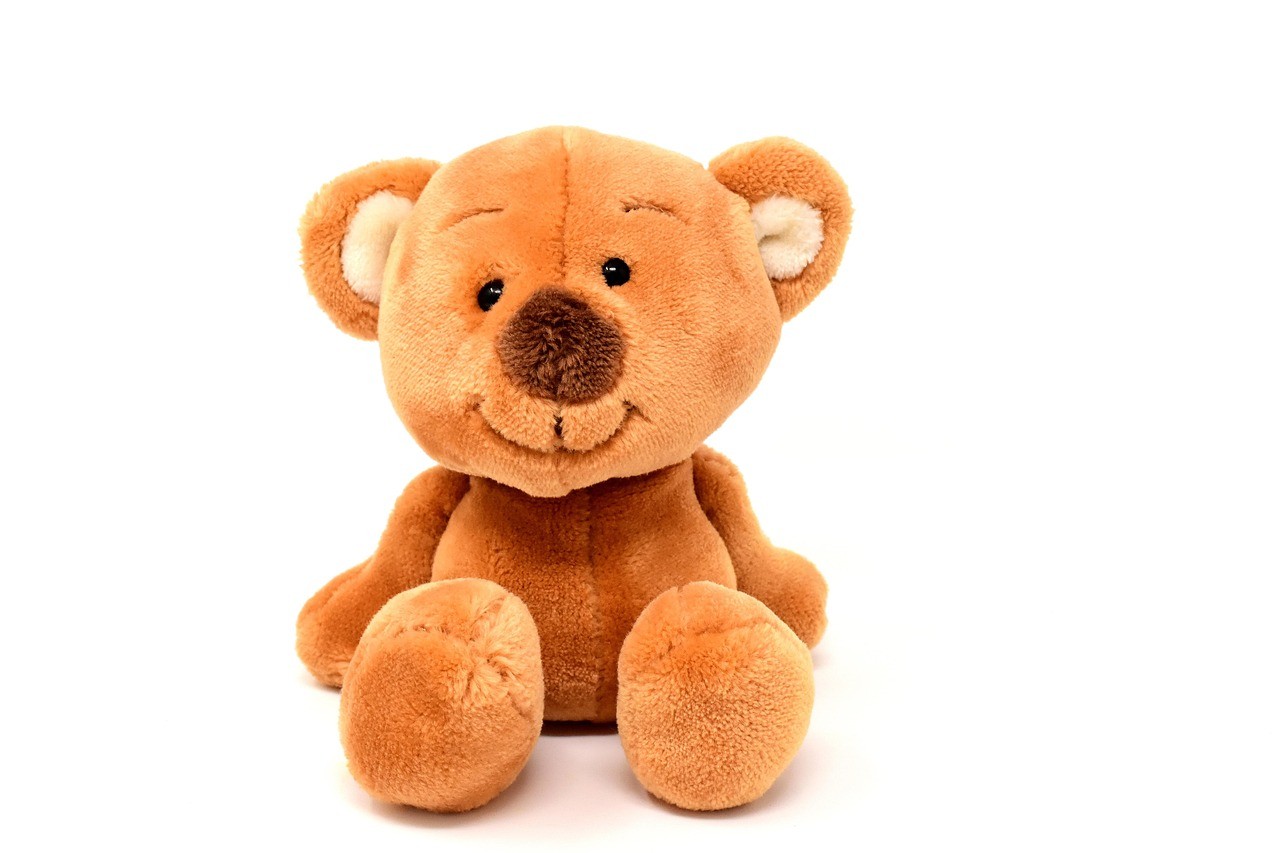 teddy, cute, stuffed animal, animal, cuddly toy, teddy bear, plush, bear, toy, little bear, children's toys, fun, children, plush bear, brown bear, to play, cozy, child, material, nature, cuddle